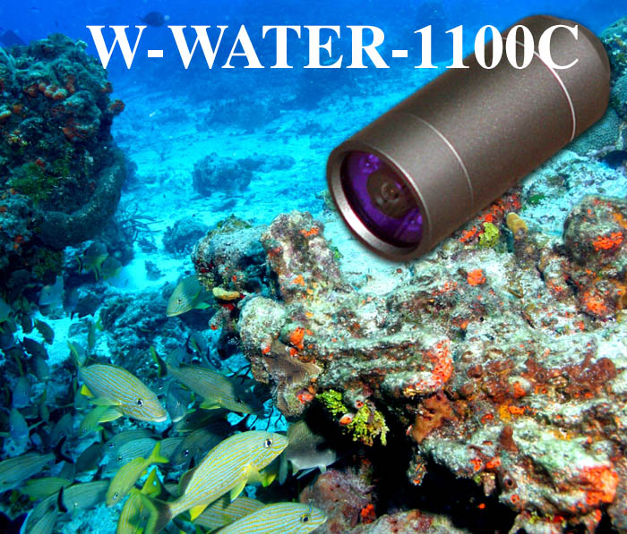 水中監視カメラ　25万画素完全防水カメラ